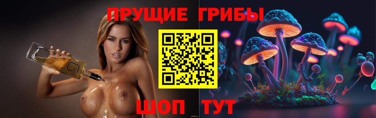Татарск  Псилоцибиновые грибы Cubensis  Вход с VPN 